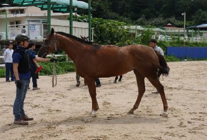 �޴��� ����