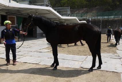 �Ŷ�ȭ�� ����