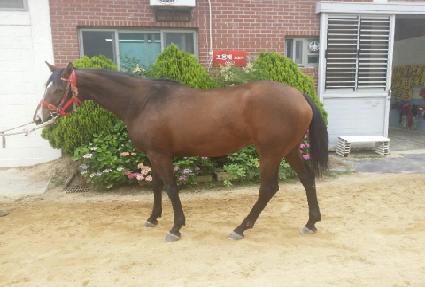 ��ٸ����� ����