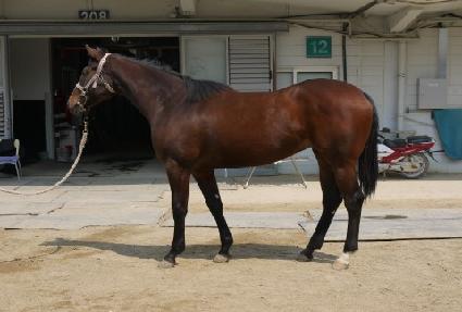 ����ũ��� ����