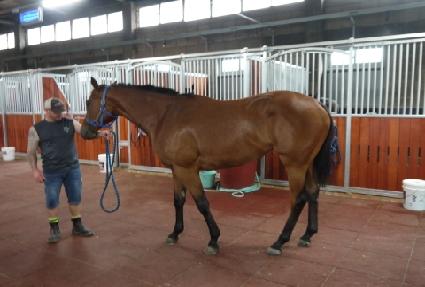 ��Ű���� ����