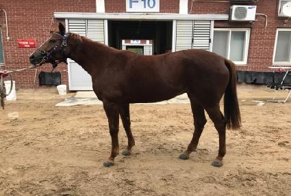 �������� ����