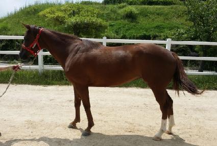 ���Ϸ��� ����