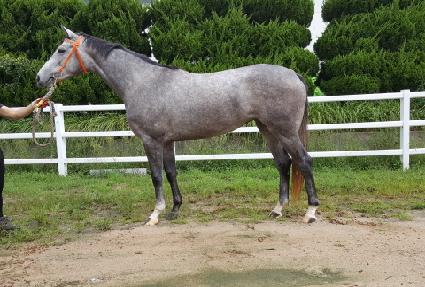 �������� ����