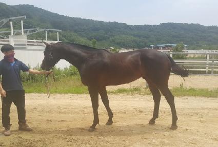 �ְ����ڽ� ����