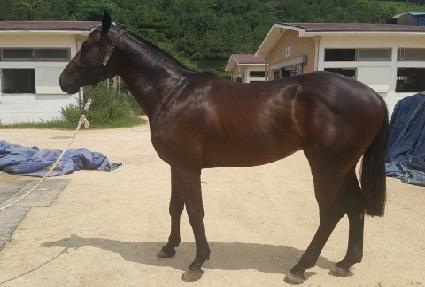 ��ŷ�� ����