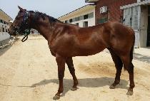 ��ũ������ (SECRET MARINE) ����