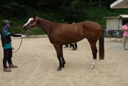 �»���� ����