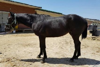 ������Ʈŷ ����