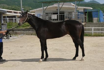 ���� ����