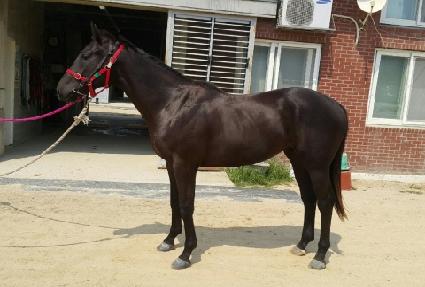 �޴�ģ���� ����