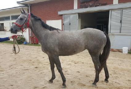 �˷��� ����