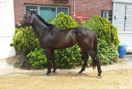 ���̽��Ͱ� ����