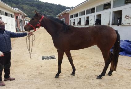 �̽��ö��� ����