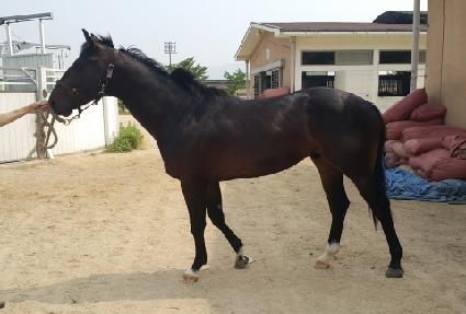 �ط��� ����