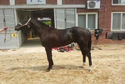 �����屺 ����