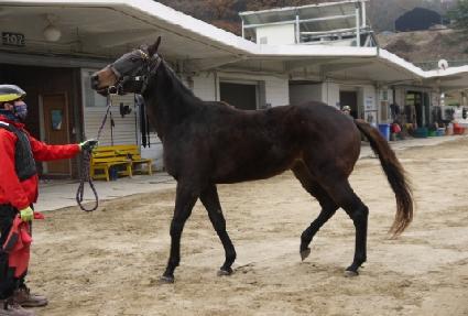 ��Ÿ��Ʋ ����