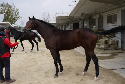 ������� ����