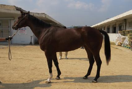 �Ӻ����� ����