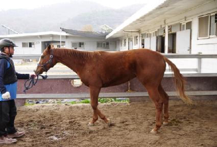 �����׾��̽� ����