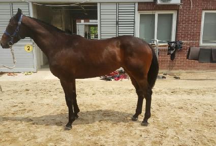 �ְ���ī ����