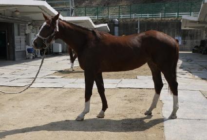 �Ƹ�������ũ ����