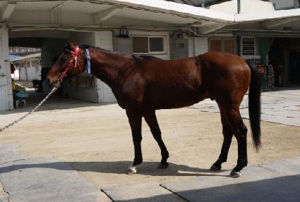 ����� ����