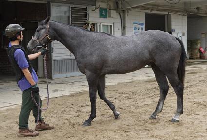 ����Ӵ� ����