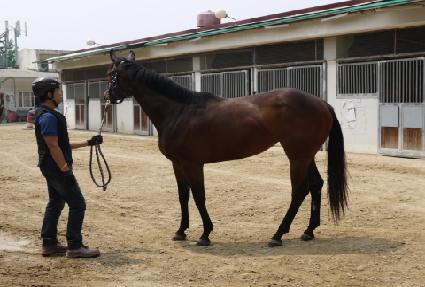 ��ƶ󿩽� ����