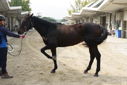 ��ƶ�õ�� ����