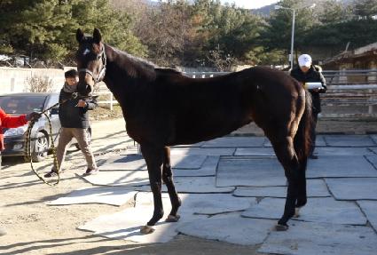 ���� ����