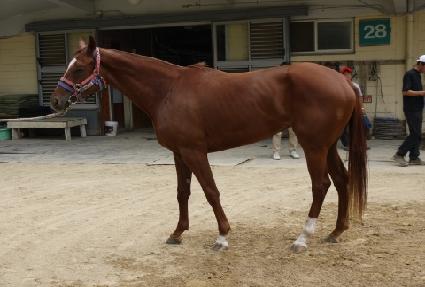 ����ε� ����