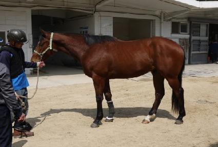 �����йи� ����