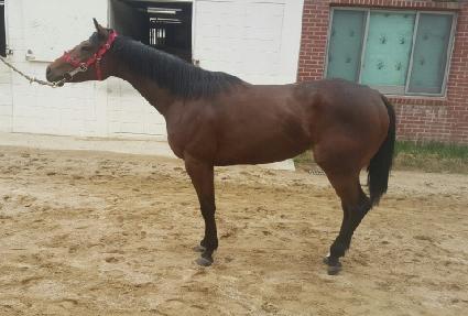 ����ö��� ����