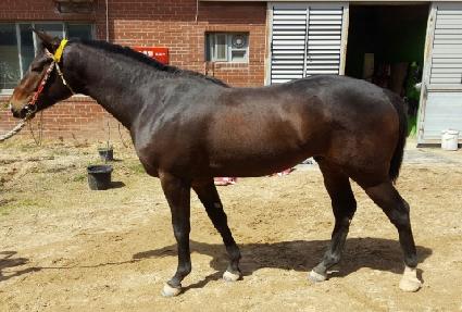 �������� ����