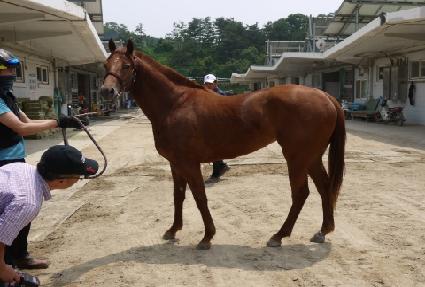 ����� ����