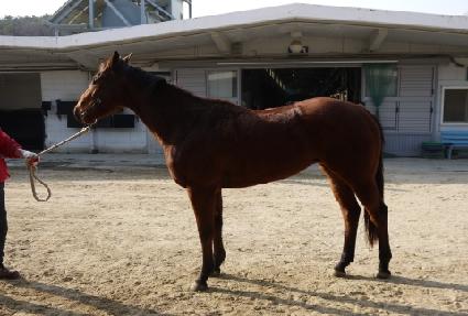 �������� ����