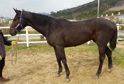 ����� ����