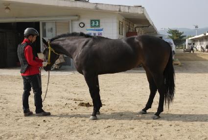 ��Ϲٷο��� ����