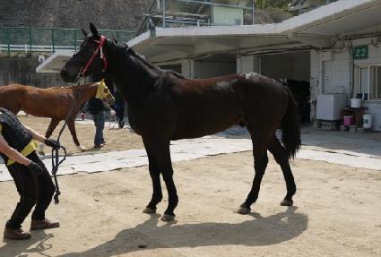 �̹��� ����