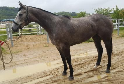 �����ڽ� ����