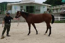 ������Ƽ�� (CONSERVATIVE) ����