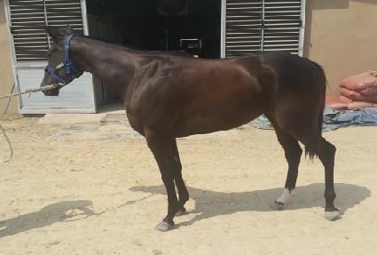 ������ ����