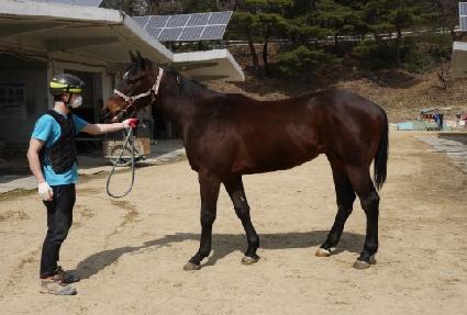 ������ ����