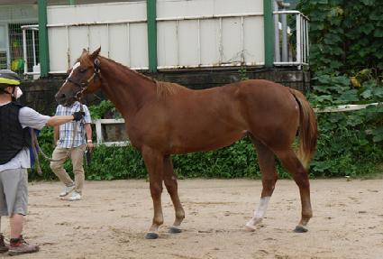 ������� ����