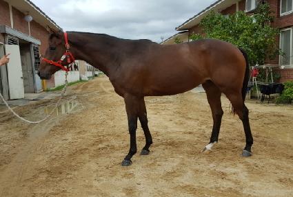 �Կ������� ����