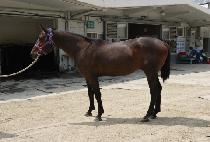 �������� (SEJIN ALPHA) ����