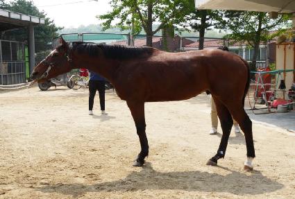 ���ο���� ����