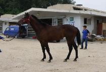 ȯ�� (HWANSAENG) ����