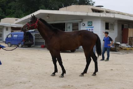 ȯ�� ����